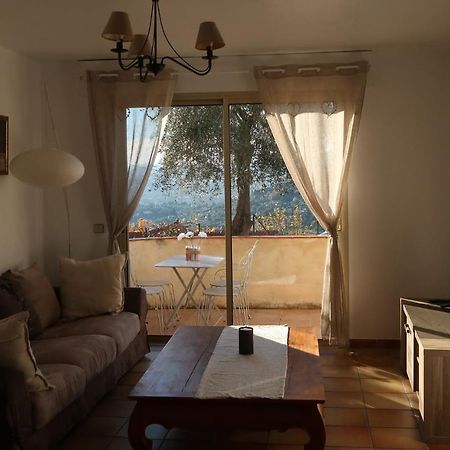 Appartement Spacieux Et Chaleureux A Грасс Екстер'єр фото
